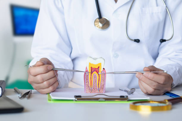 Best Broken or Chipped Tooth Repair in Cleveland, TN